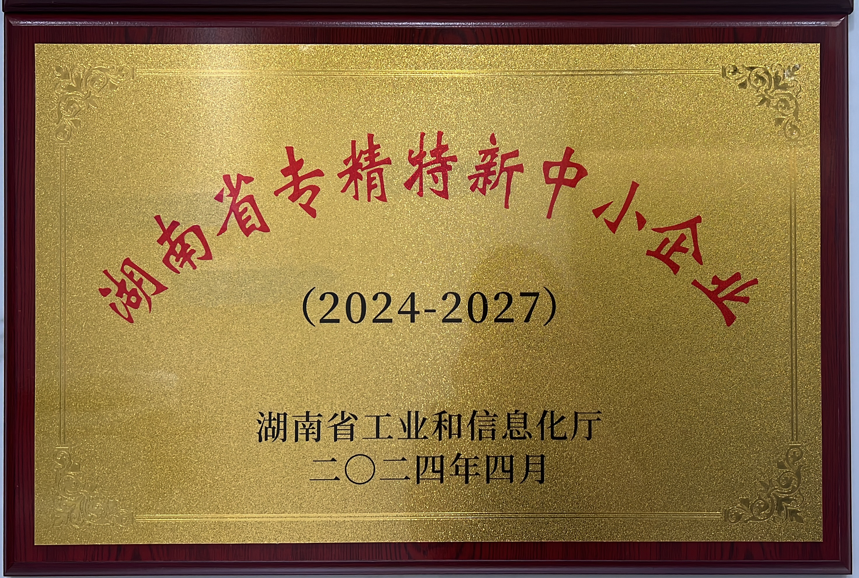 湖南省专精特新中小企业